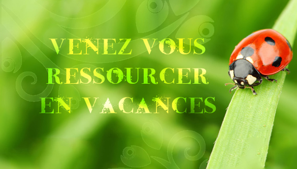 Détente, activités, visites, promenades, sport... Nous offrons un large choix de séjours pour tous les gouts.
