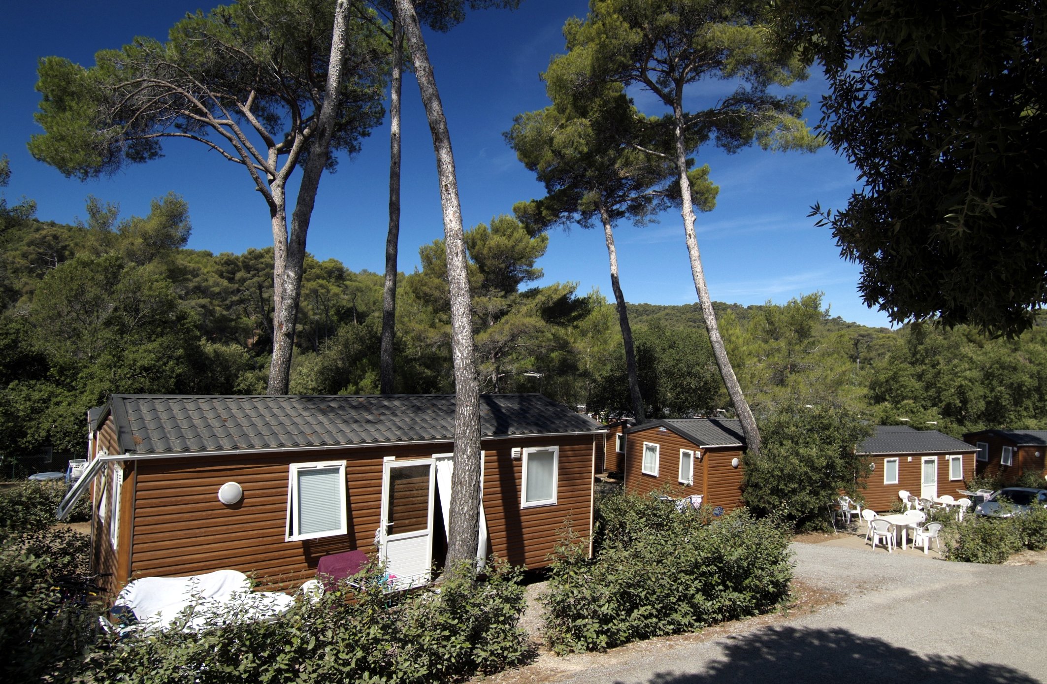 Index of /_img/photos